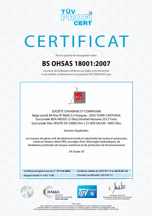 BS OHSAS 18001 : 2007